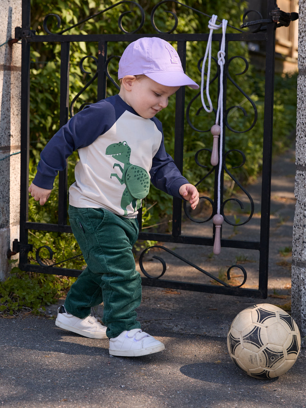 Dinosaur Print Raglan Top 5-6y / 116